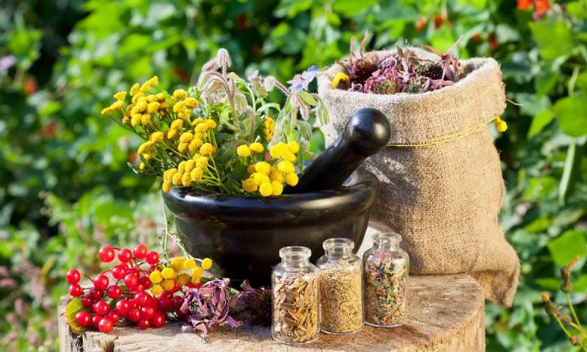 Herbs from Helminthen