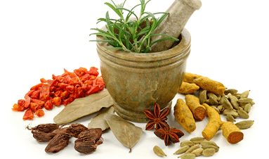 Methods for treating parasites in the body