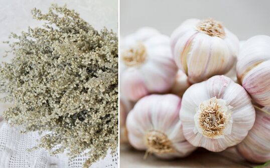 Wormwood and garlic to cleanse the body of parasites