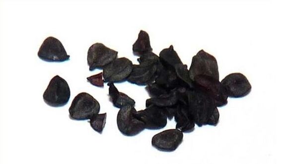Clove seeds against parasites