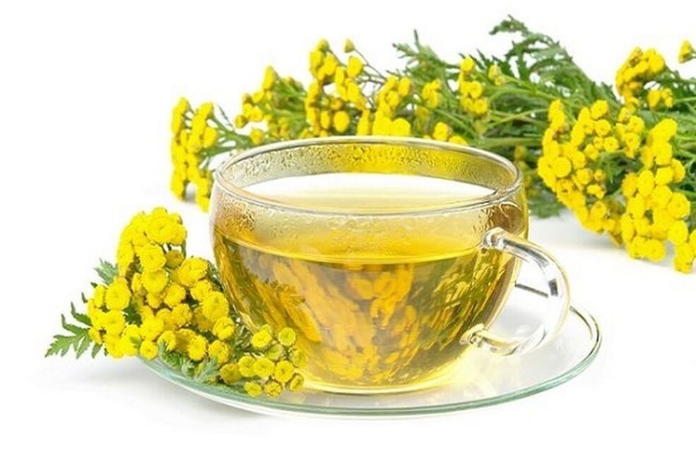 Tansy decoction against parasites